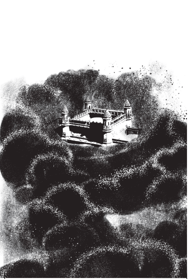 Screen Shot 2019-08-12 at 12.41.56 PM.png