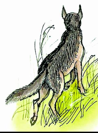 15bm_Kid_s-Colu_15_2895048g